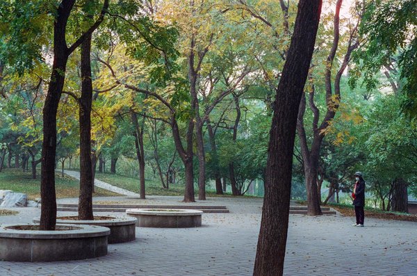 Analyse et Recommandations pour la Sécurité Sociale des Médecins : Comparaisons Clés à Ne Pas Manquer